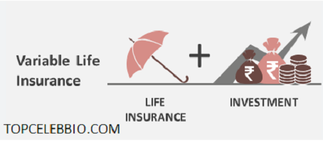 Variable Life Insurance Review